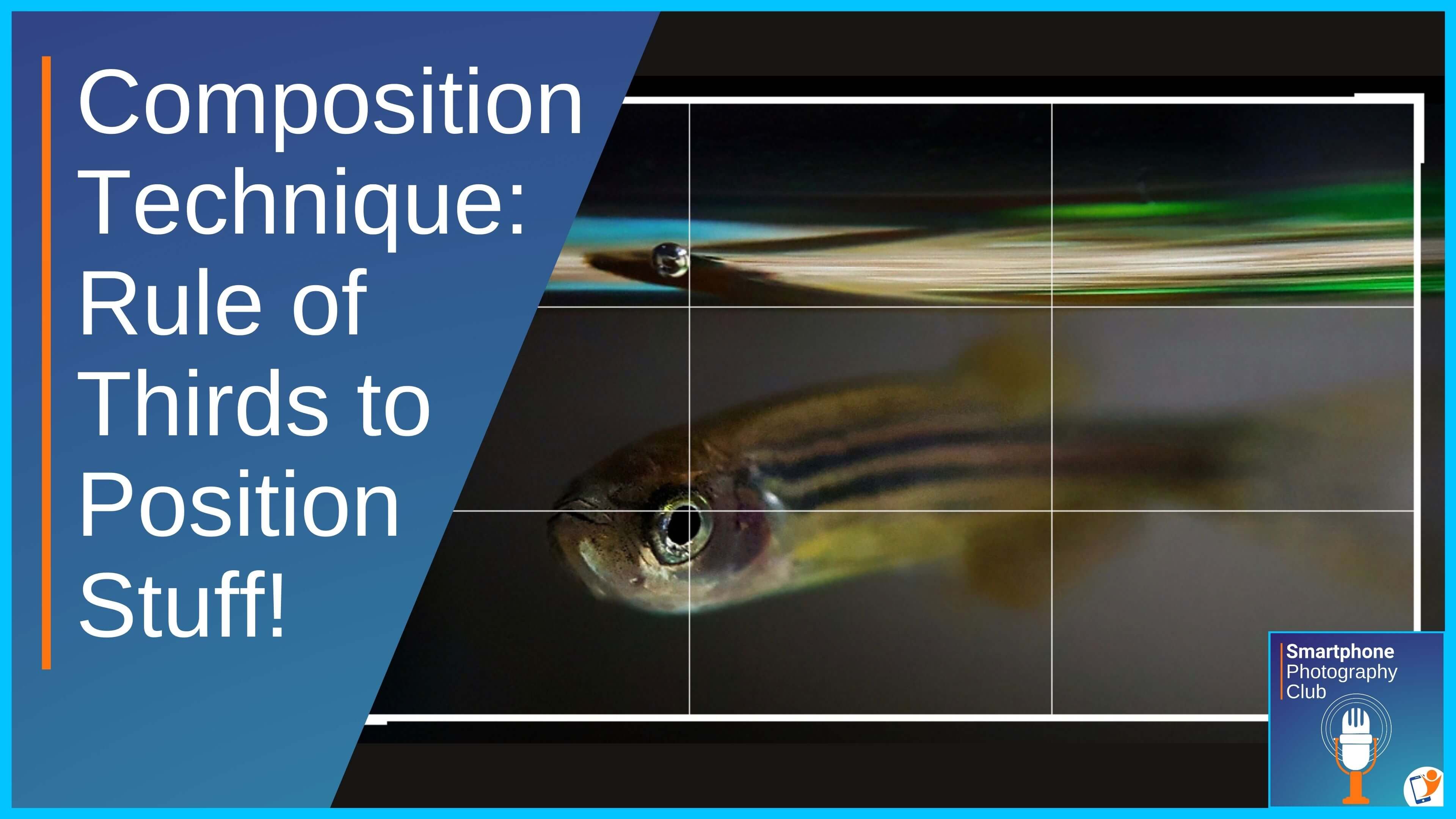 Rule of thirds grid lines on the iPhone and Android smartphone explained
